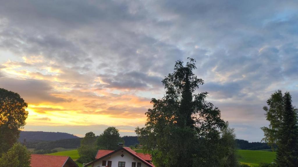 Ferienwohnung Allgaeuglueck Im Ferienpark Oberallgaeu Mit Hallenbad, Sauna, Wlan Міссен-Вільгамс Екстер'єр фото