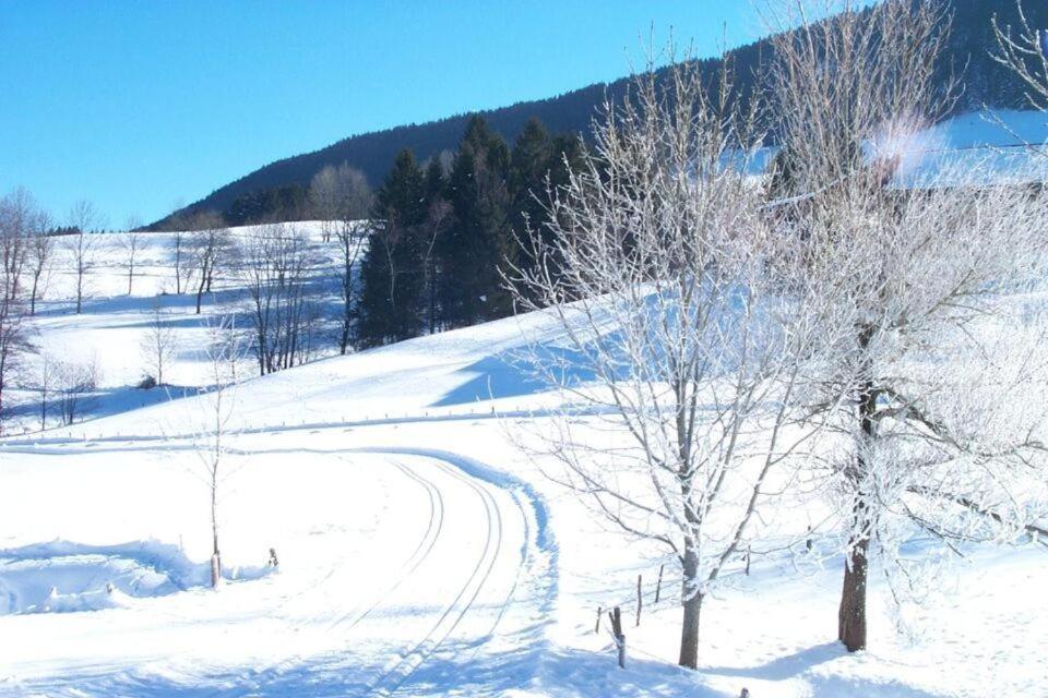 Ferienwohnung Allgaeuglueck Im Ferienpark Oberallgaeu Mit Hallenbad, Sauna, Wlan Міссен-Вільгамс Екстер'єр фото